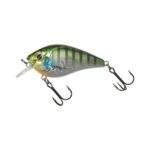 Blue Gill GB