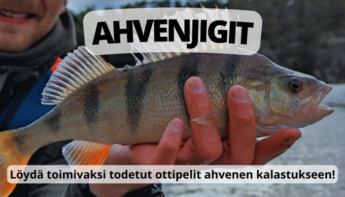 Ahvenjigit