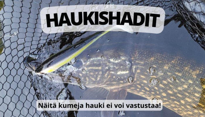 Haukishadit