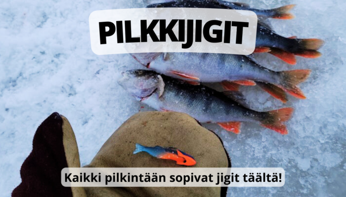 Pilkkijigit