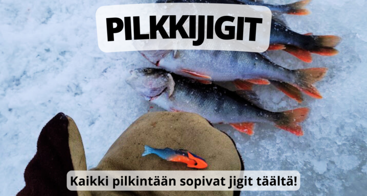 Pilkkijigit