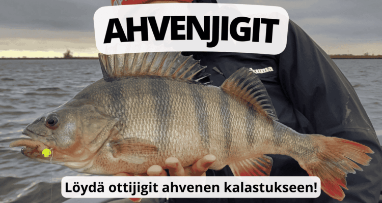 Ahvenjigit