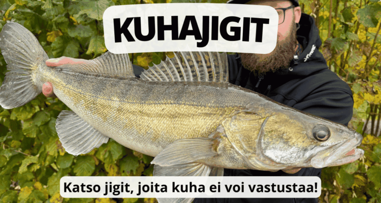 Kuhajigit