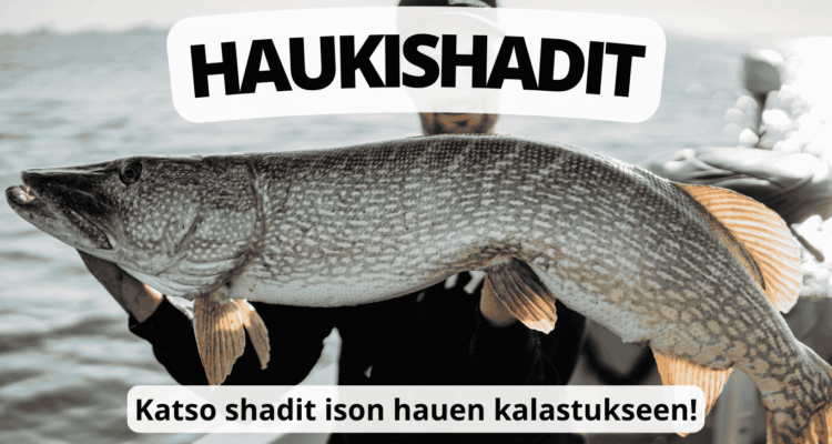 Haukishadit