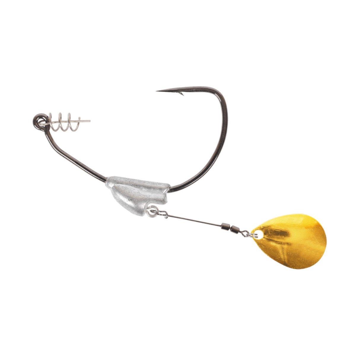 Flashy Swimmer Colorado