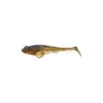 Wild Goby