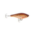 Live Redfin Shiner
