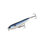 BLUE ROACH