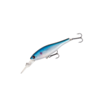 BLUE ROACH