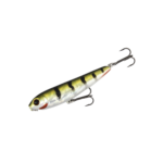 GREEN PERCH